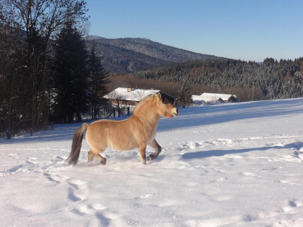 Urlaub Auf Dem Haberlhof Villa โลห์แบร์ก ภายนอก รูปภาพ